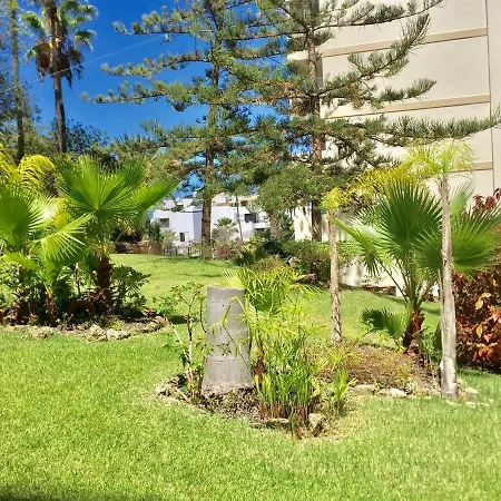 Daire Relax Tropical Americas - Tenesol *