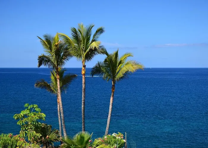 Relax Tropical Americas - Tenesol 아파트 플라야데라스아메리카스