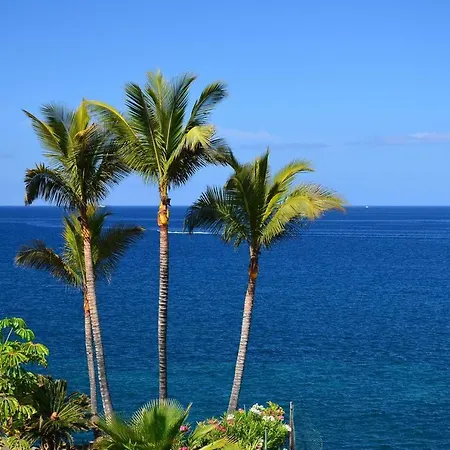 Relax Tropical Americas - Tenesol Apartment Playa de las Americas (Tenerife)