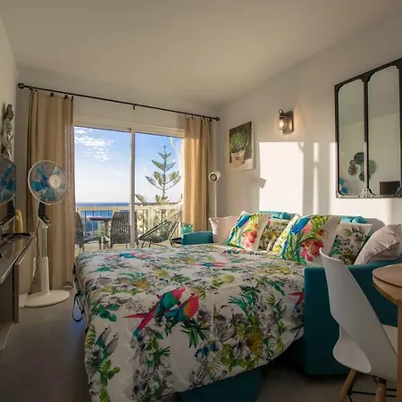 Relax Tropical Americas - Tenesol *